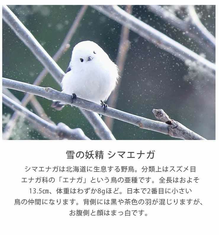 木製壁掛け時計 シマエナガ ウォールクロック 壁時計 時計001 | セミ