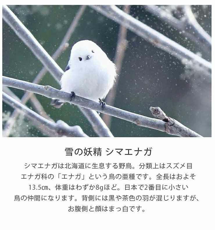 コースター 3枚セット 木製 シマエナガ コースター029 | セミオーダー